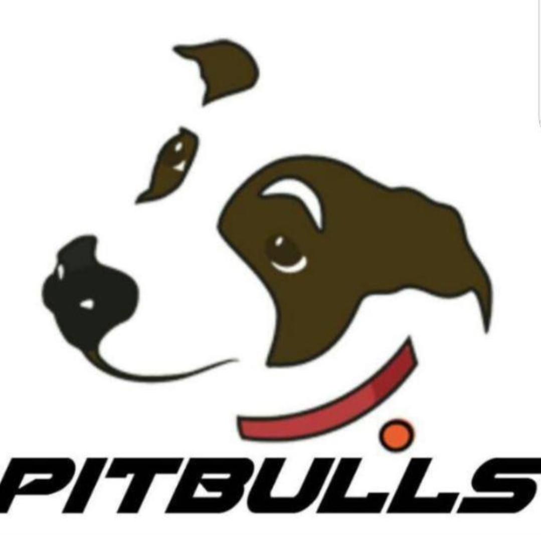 PITBULLS FEM