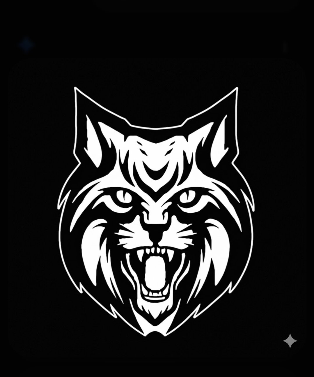 THE WILD B