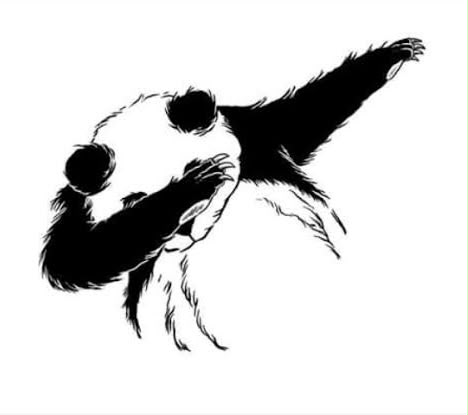 PANDAB