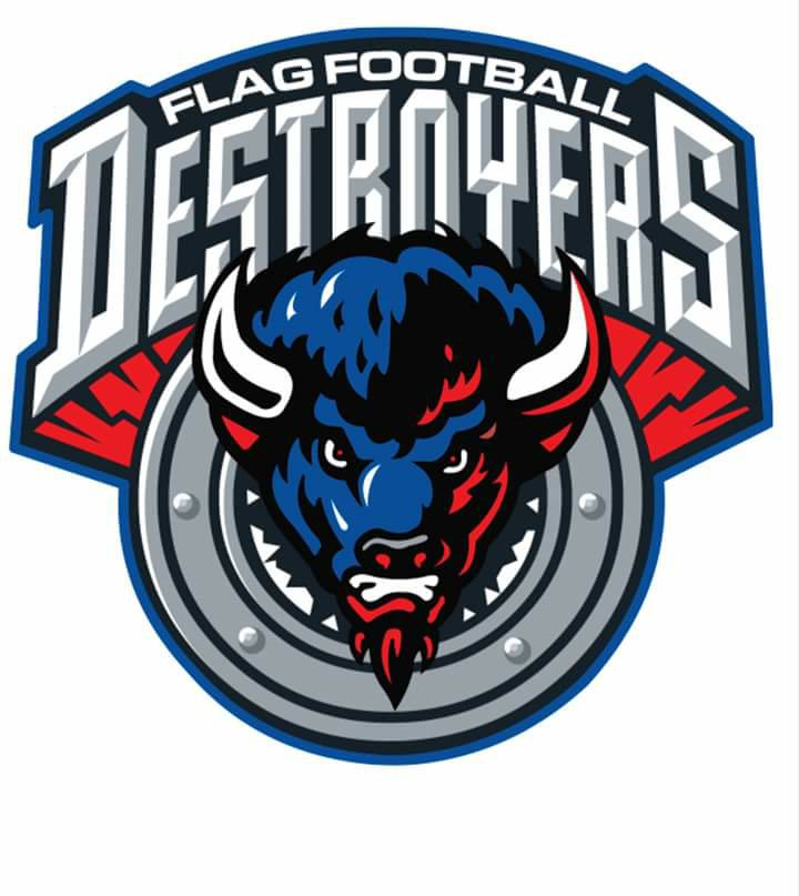 Destroyers