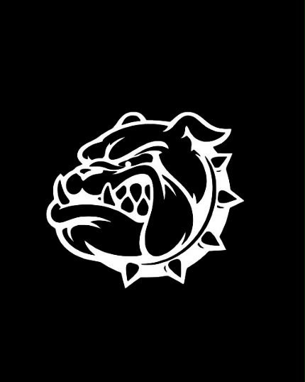 BULLDOGS U16